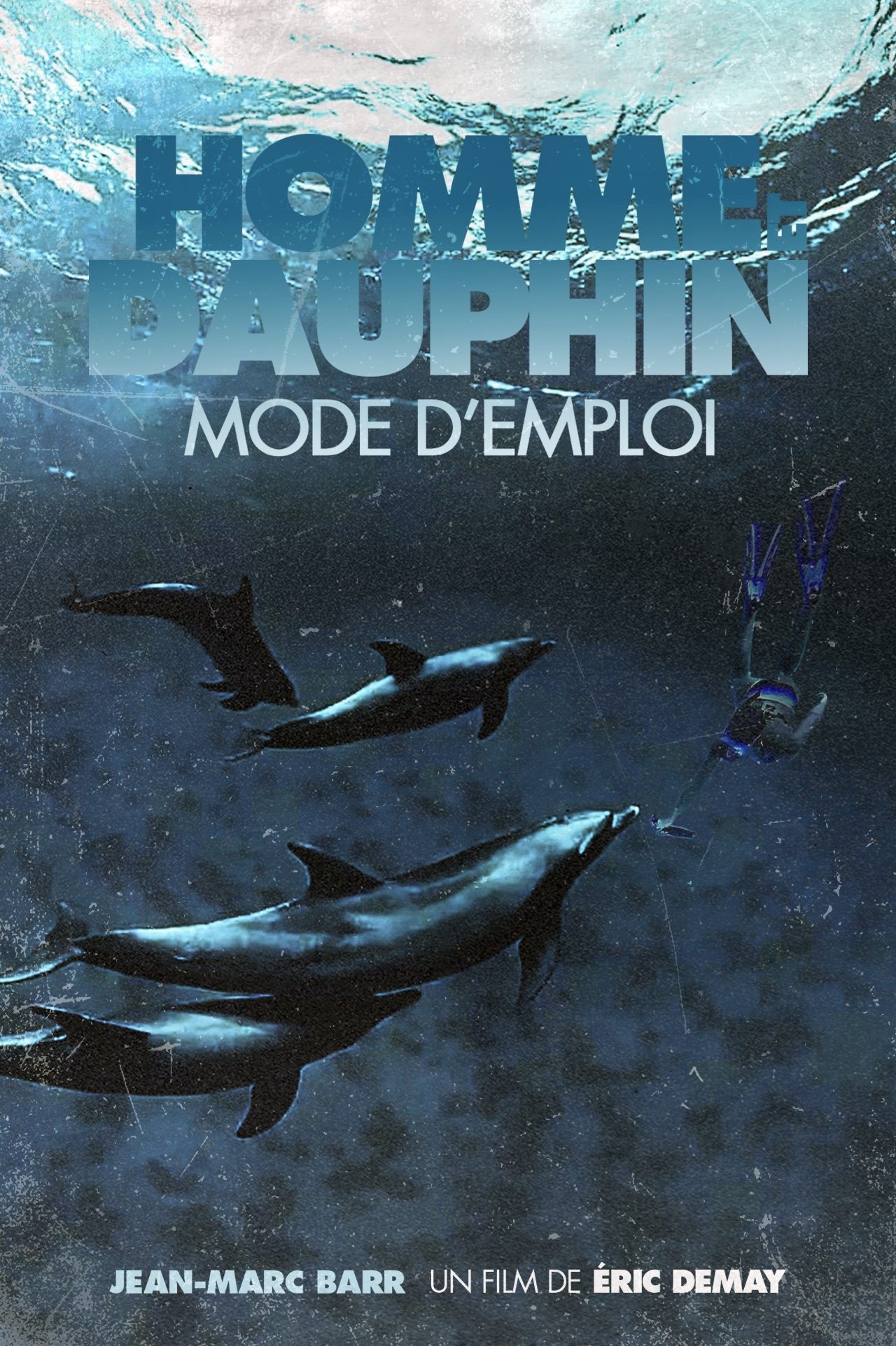 Постер Homme et Dauphin : Mode d’emploi